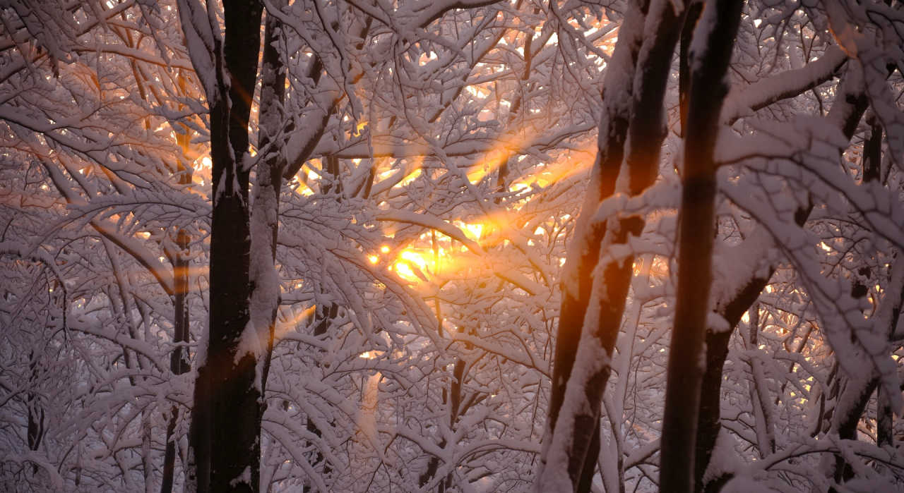 Wo Schatten ist, muss auch irgendwo ein Licht sein
